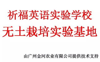校企攜手，共繪軟件技術教育新篇章